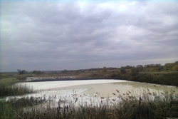 Новоодесское коммунальное предприятие «Прибузьке» оштрафовали на 11,2 миллиона за загрязнение Южного Буга