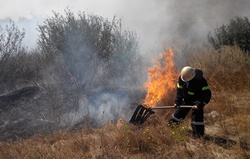 В Новой Одессе и в других районах области произошло 20 пожаров сухой травы и мусора