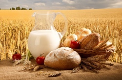 Информация про кредитование аграриев в Николаевской области