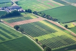 Куда обратится и что надо сделать участнику АТО, что бы получить земельный участок в Николаевской области