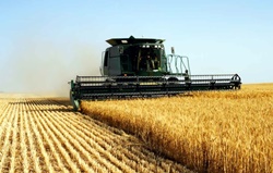 Вниманию руководителей фермерских хозяйств Новоодесского района!