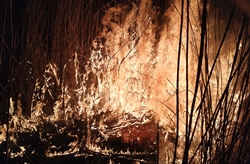 В Новой Одессе и в других районах области в результате человеческой халатности выгорело более 3 га сухостоя