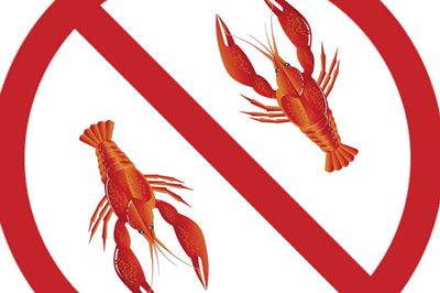 В Николаевской области начал действовать запрет на вылов раков